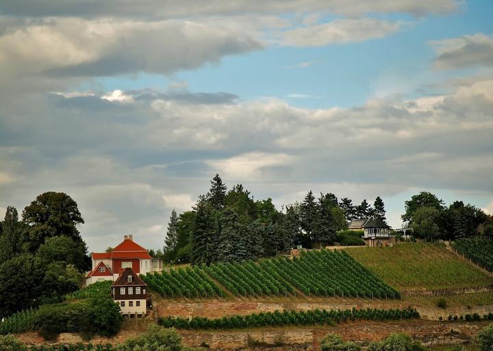 Max-Klinger-Weinberg Café & Ferienhäuser